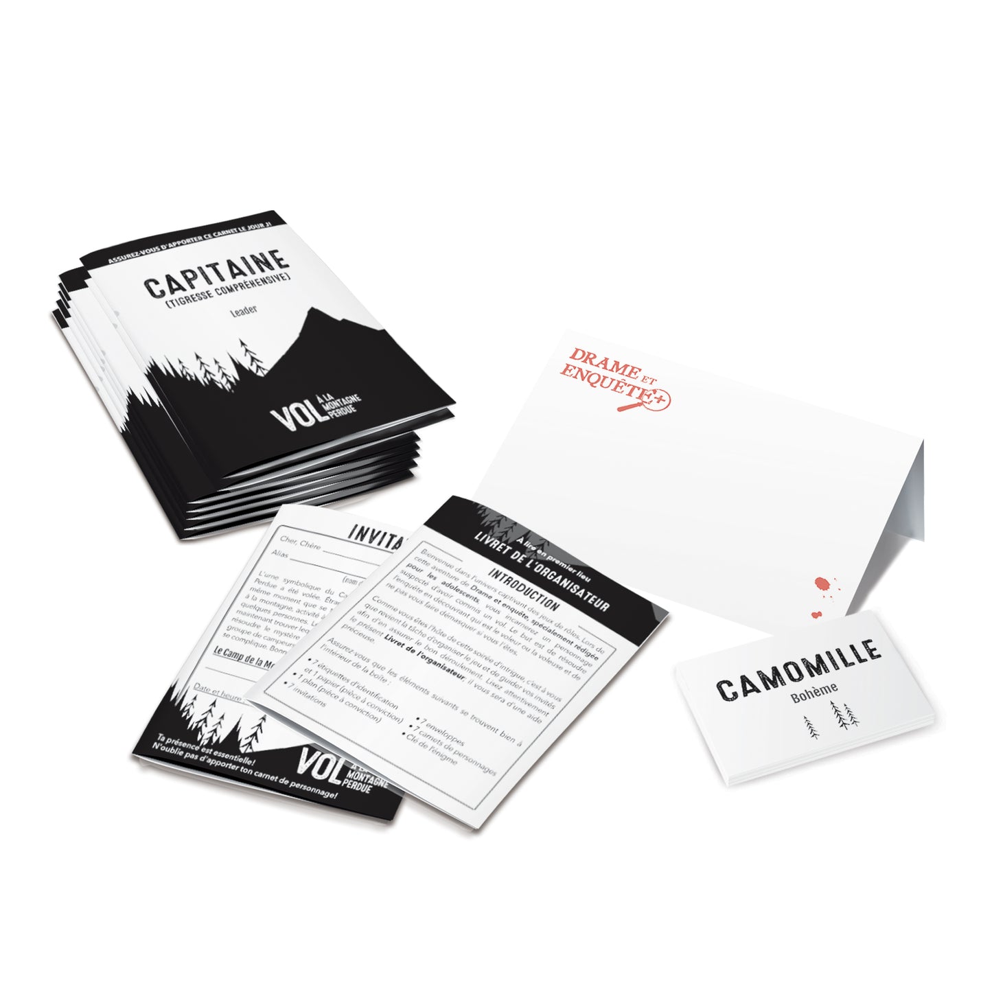 Vol à la montagne perdue-Drame & Enquete