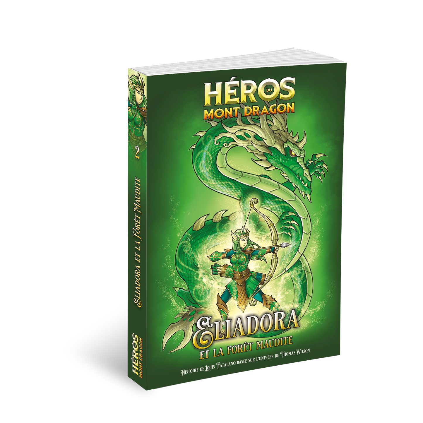 Héros du Mont Dragon – Eliadora et la Forêt Maudite (roman)