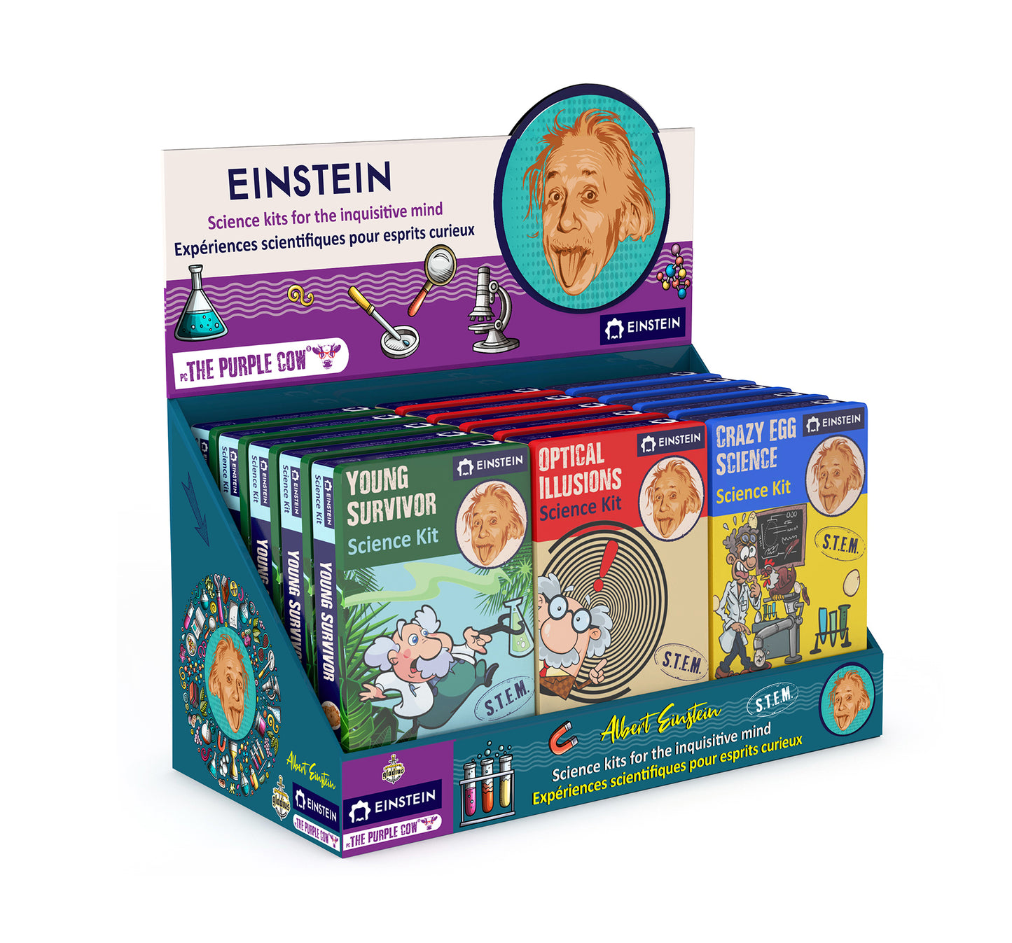 Empty Counter Display – 15 Units