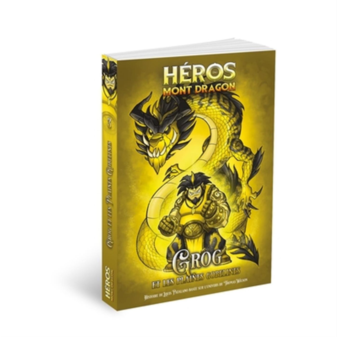 Héros du Mont Dragon – Grog et les Plaines Gobelines (roman)