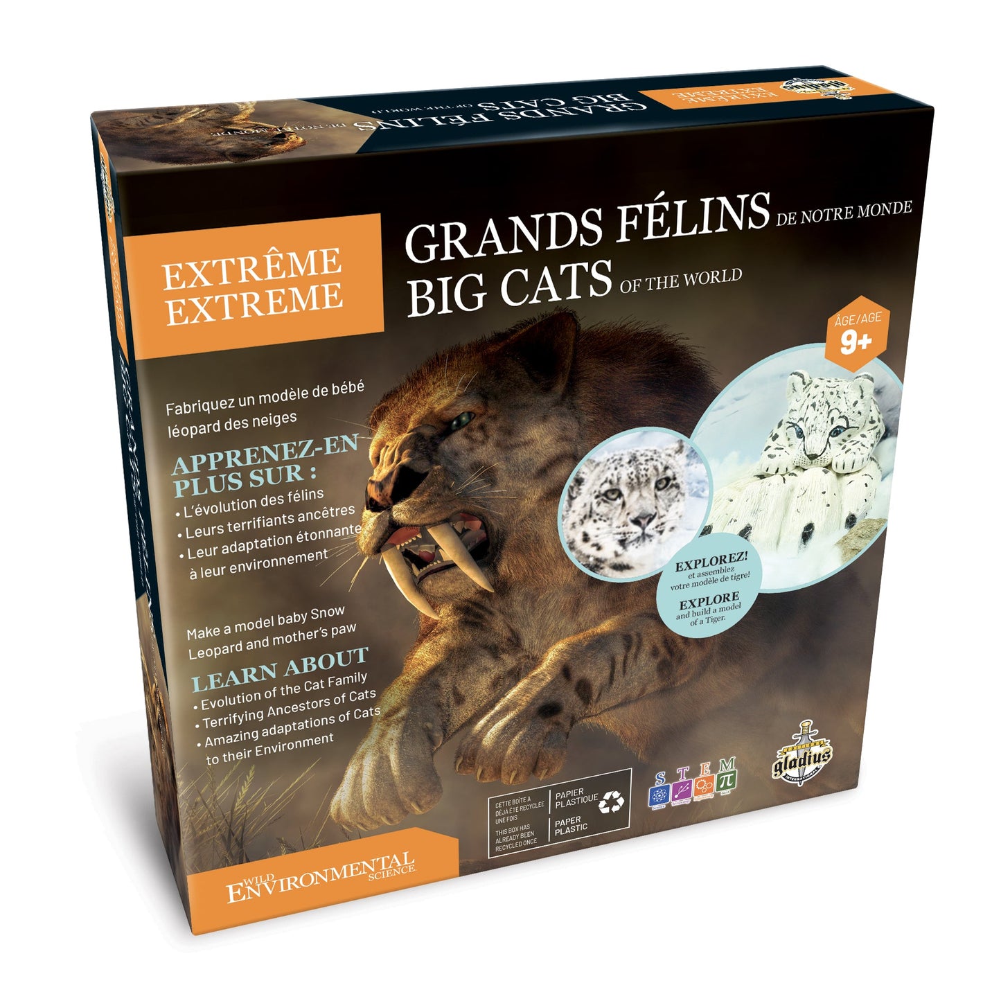 WES Extrême – Grands félins