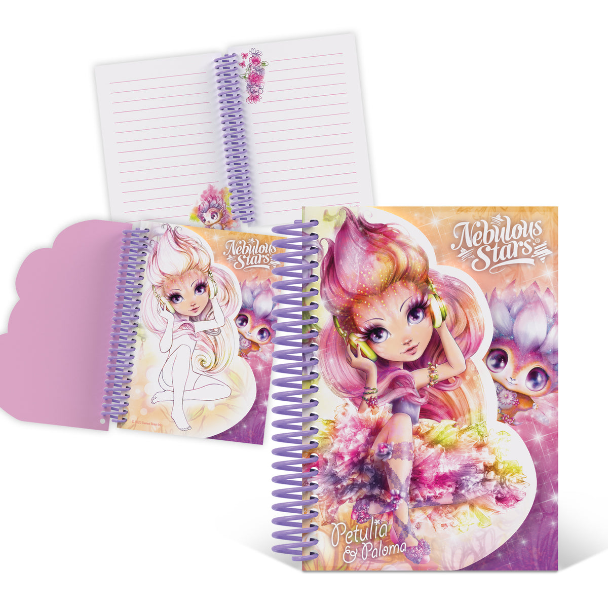 Carnet de notes et design - Assortiment (12) N.S.