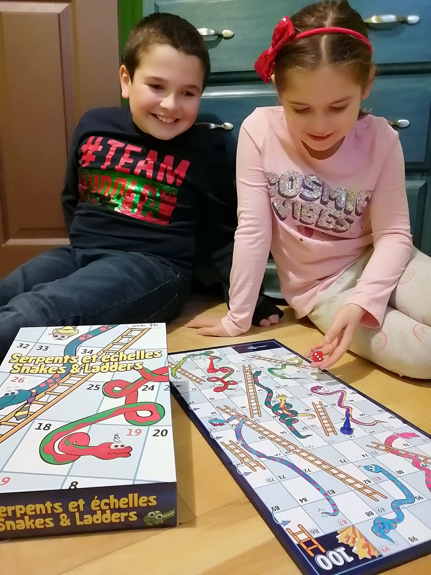 Snakes and ladders (Vertical box)