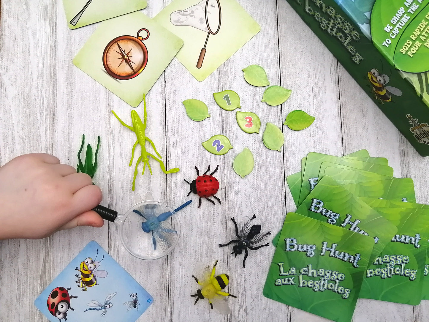 La chasse aux bestioles - Ludo & Méninge