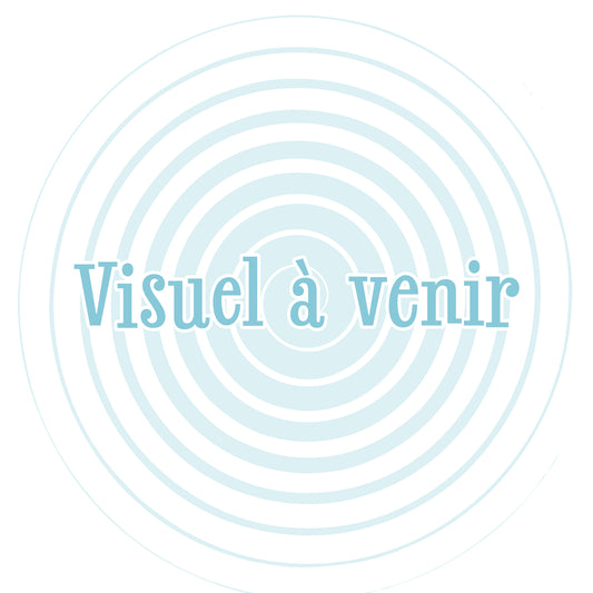 Sac réutilisable Gladius 2026 (15x13x7)